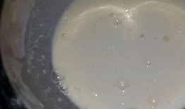 鳕鱼最新爆料新闻视频大全,揭秘视频大全背后的惊人真相