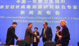 最新世卫组织爆料,揭秘全球疫情新动态与挑战