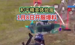 和平体验服最新活动爆料,揭秘神秘爆料，畅享刺激战场盛宴